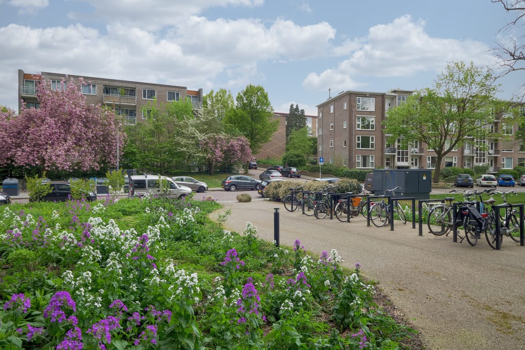 Foto 32 van Velperweg 47-1007