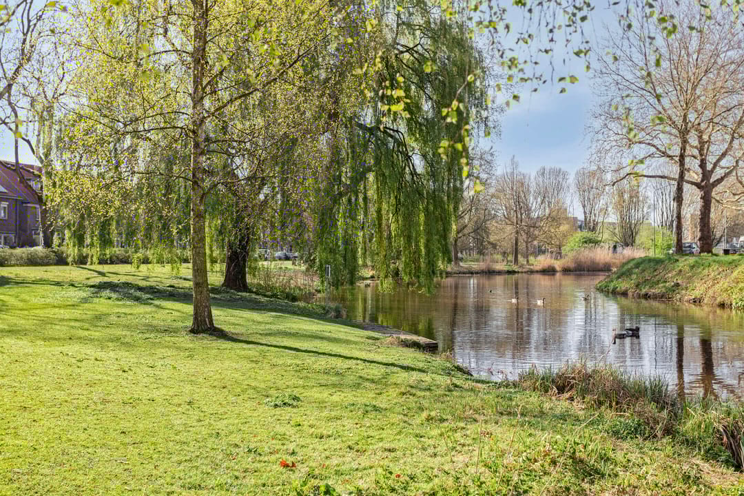 Foto 61 van Graaf Ottosingel 189