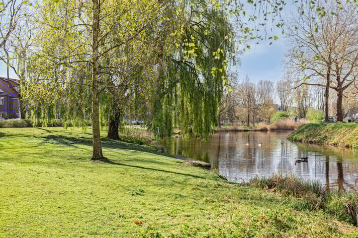 Foto 61 van Graaf Ottosingel 189