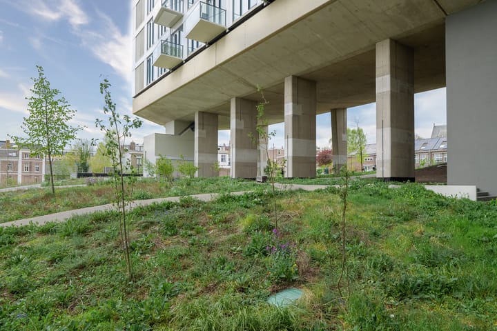 Foto 33 van Velperweg 47-1007