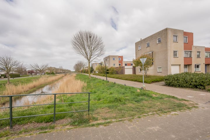 Foto 40 van Botter 19