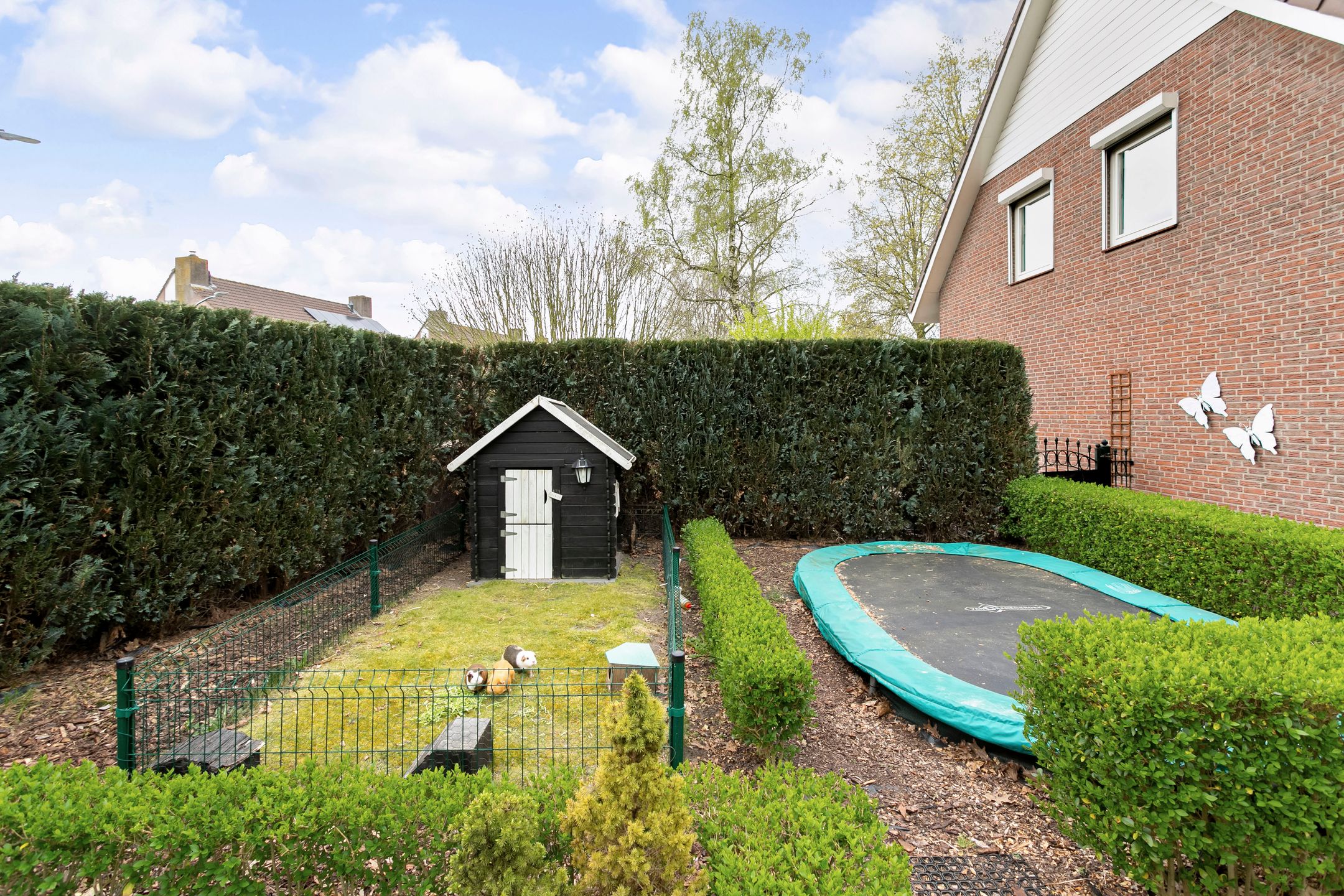 Foto 48 van Vossenberg 19