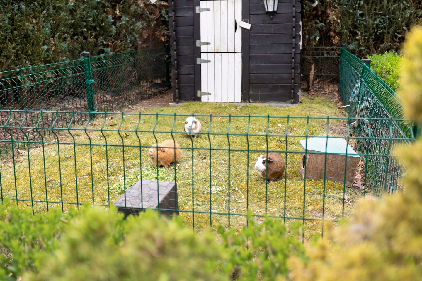 Foto 49 van Vossenberg 19