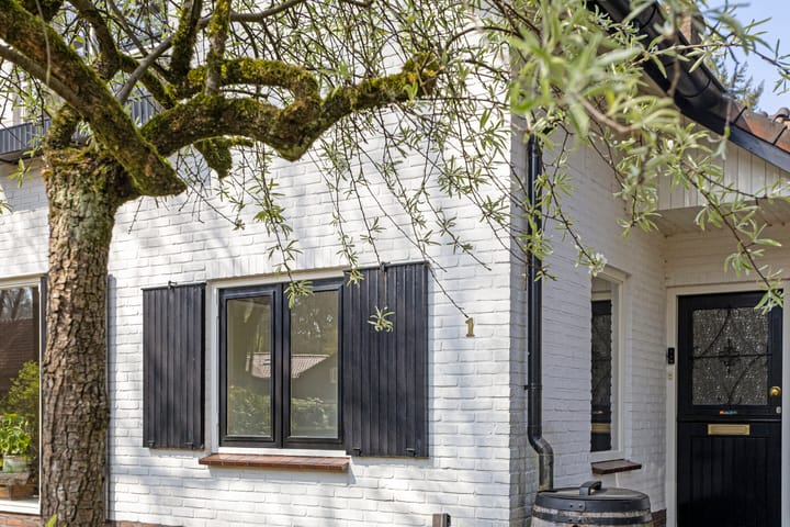 Foto 6 van Astridlaan 1