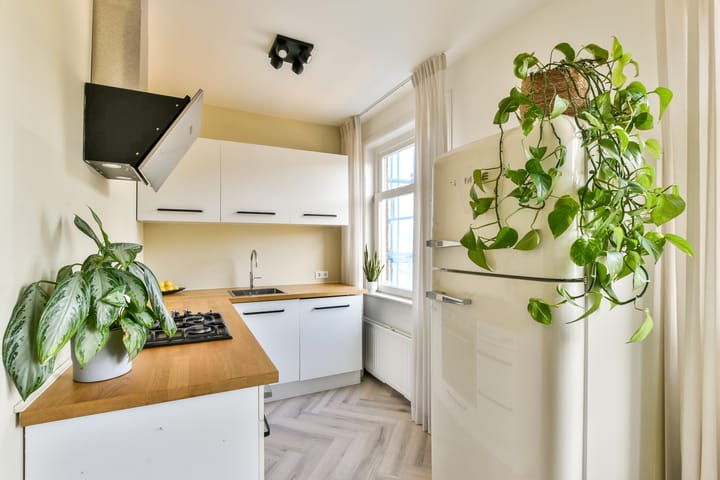 Foto 6 van Baarsjesweg 261-1