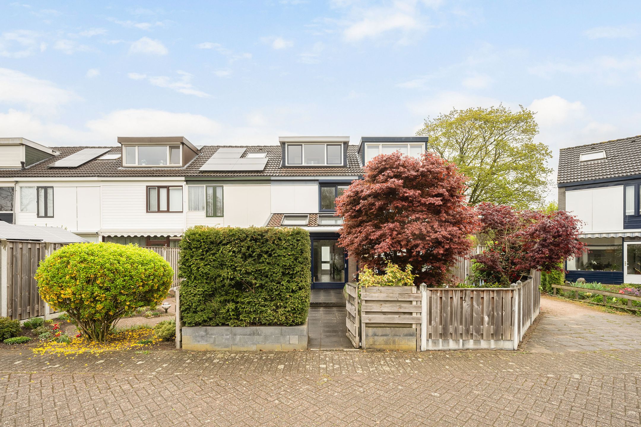 Foto 24 van Dolte 29