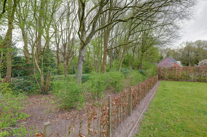 Foto 69 van De Thien 3