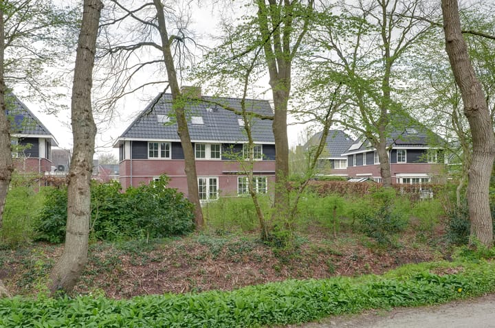 Foto 73 van De Thien 3