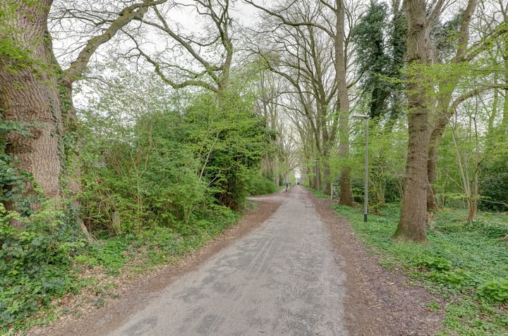 Foto 74 van De Thien 3