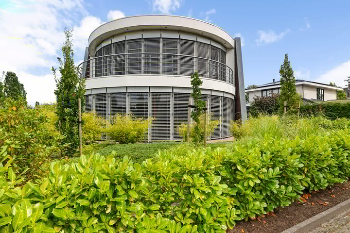 Foto 11 van Watersnip 1