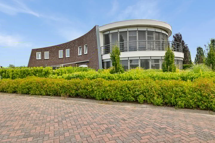 Foto 12 van Watersnip 1