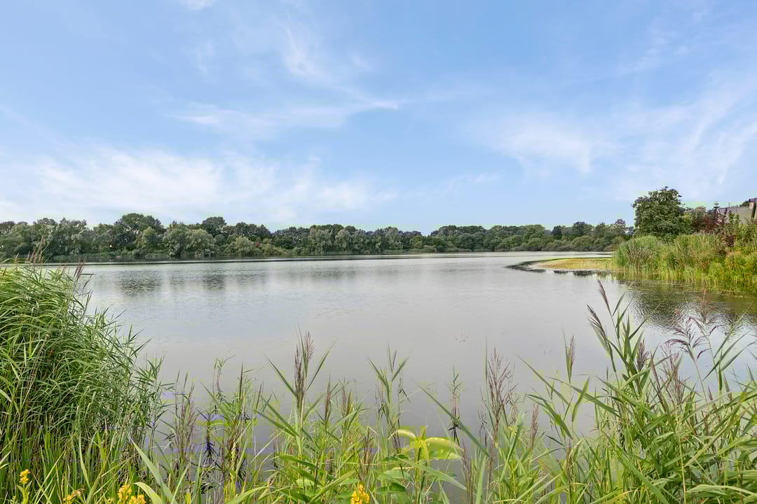 Photo 13 of Watersnip 1