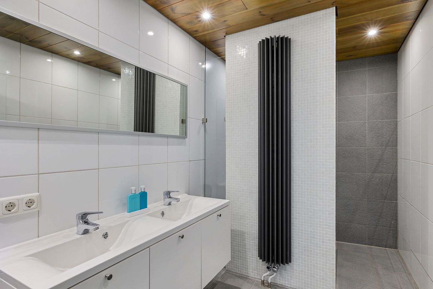 Photo 40 of Watersnip 1