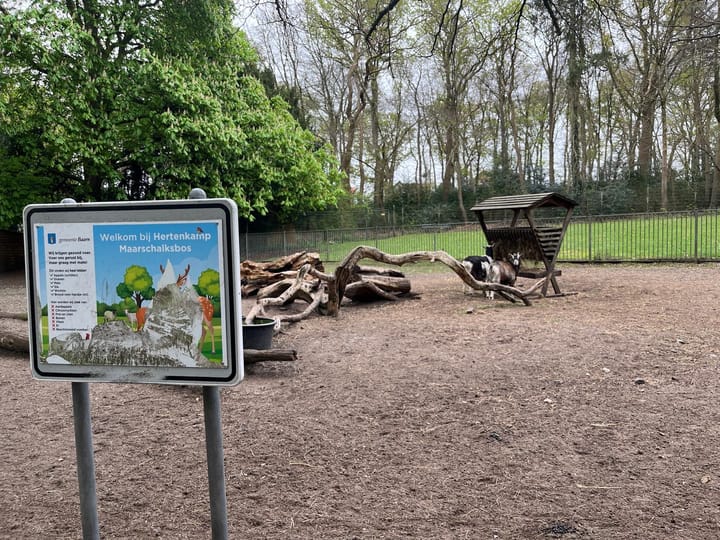 Photo 37 of Zandvoortweg 209-B