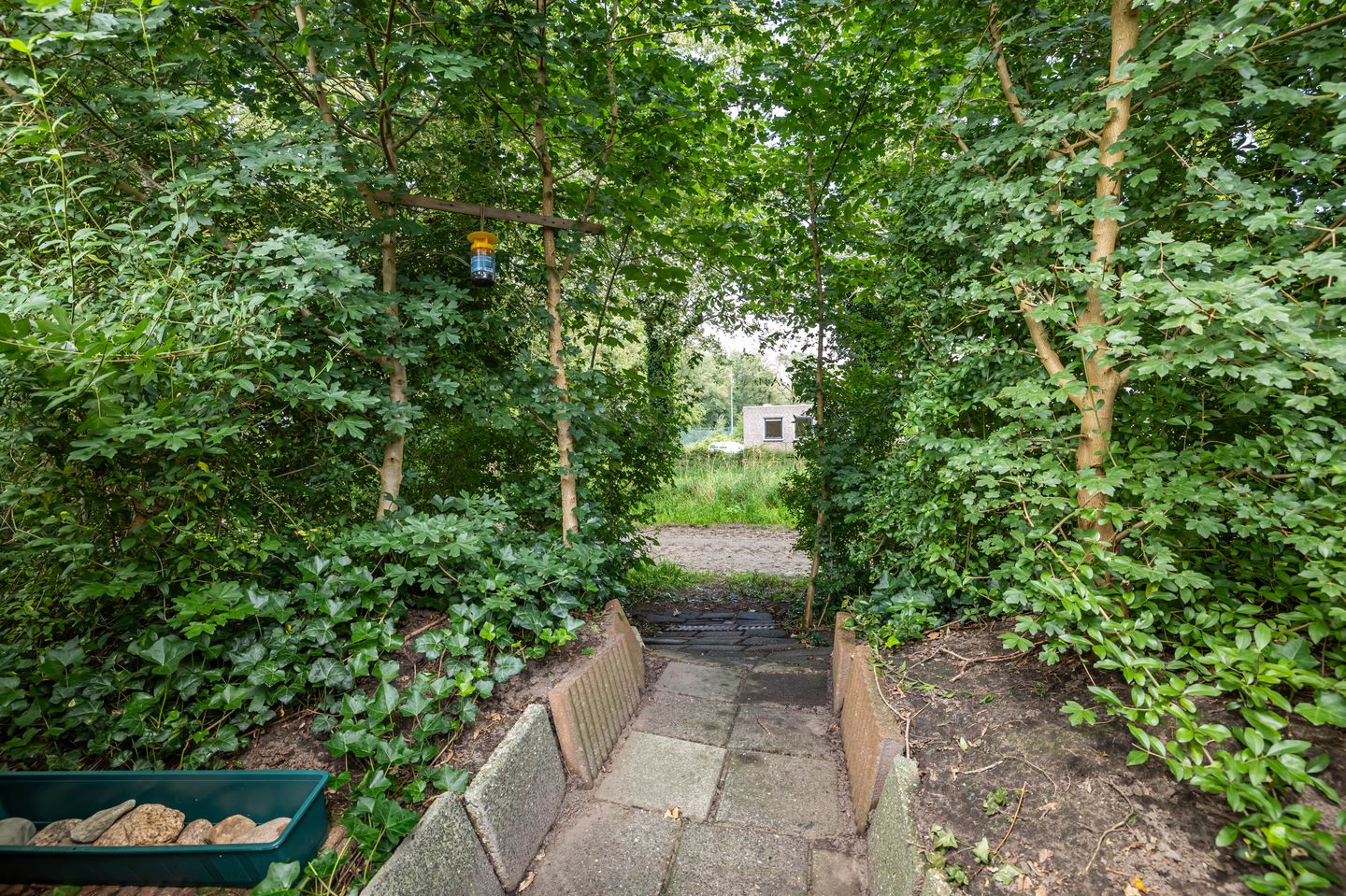 Foto 49 van Boskamp 7