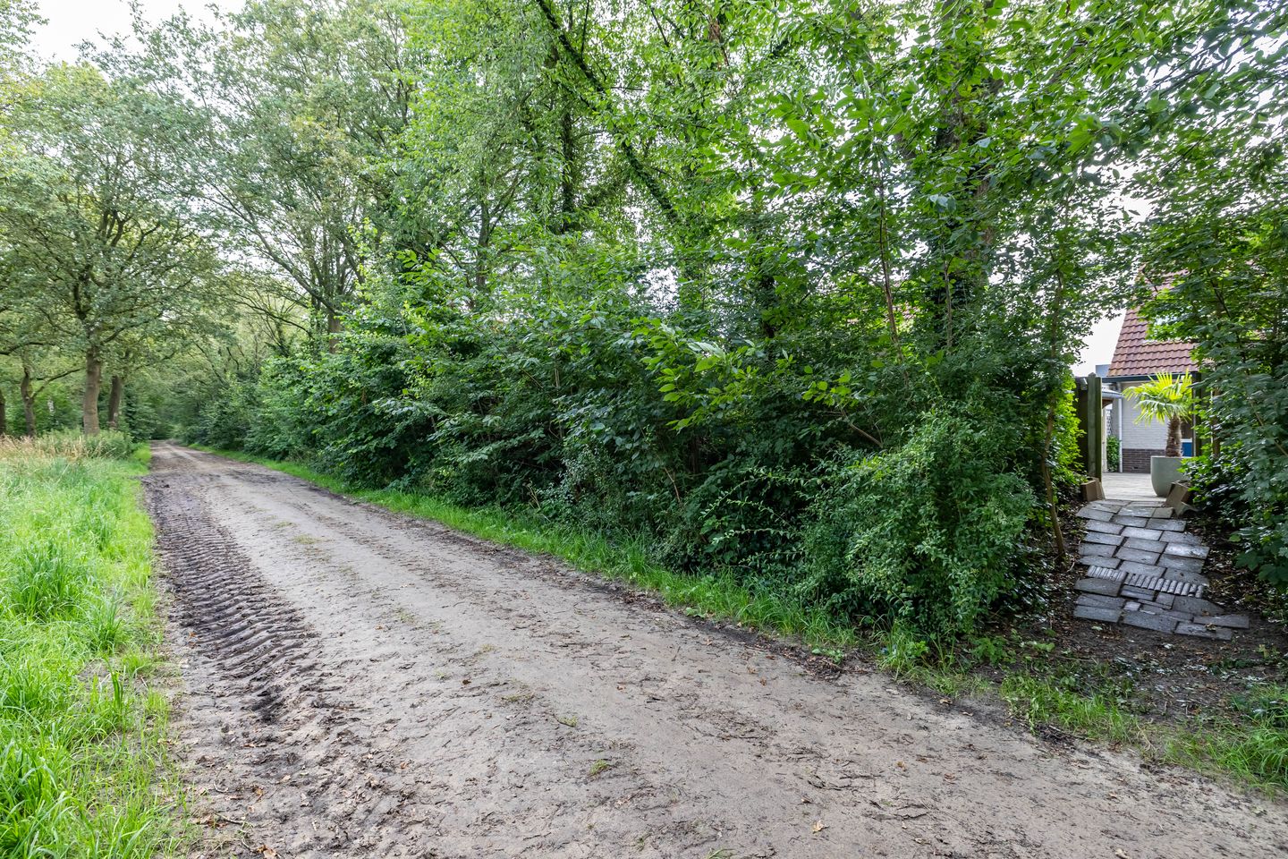 Foto 50 van Boskamp 7