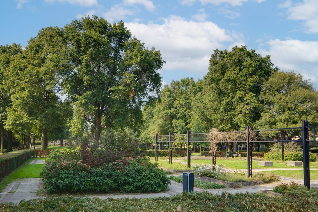 Foto 23 van Lombokstraat 3-AC