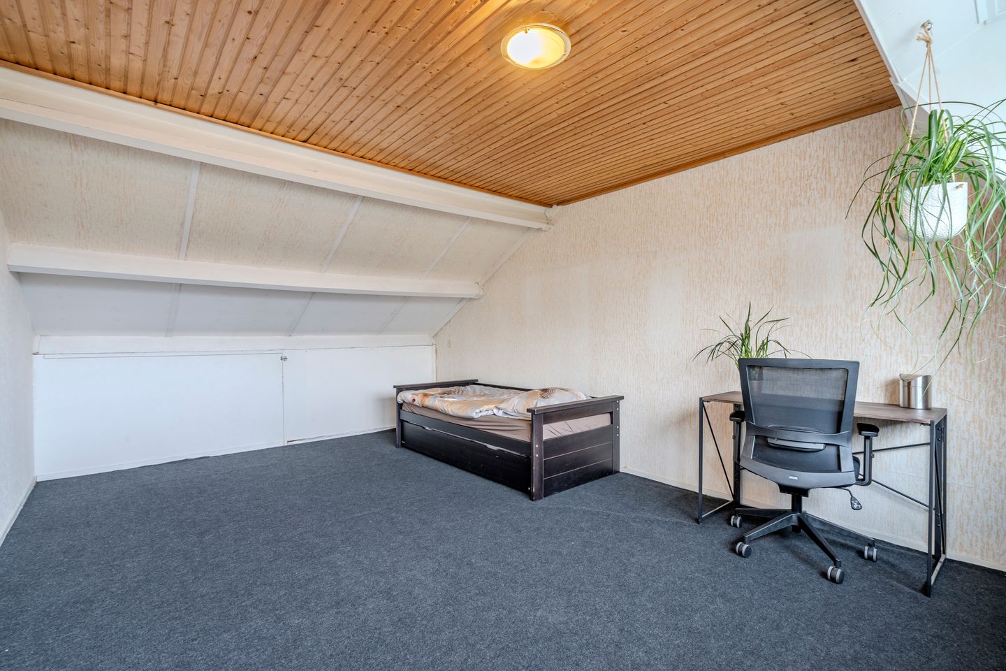 Foto 34 van Fluoriet 10