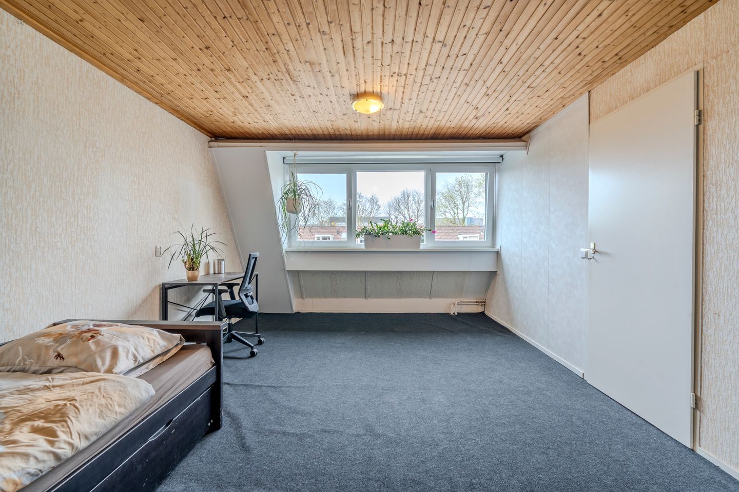 Foto 35 van Fluoriet 10