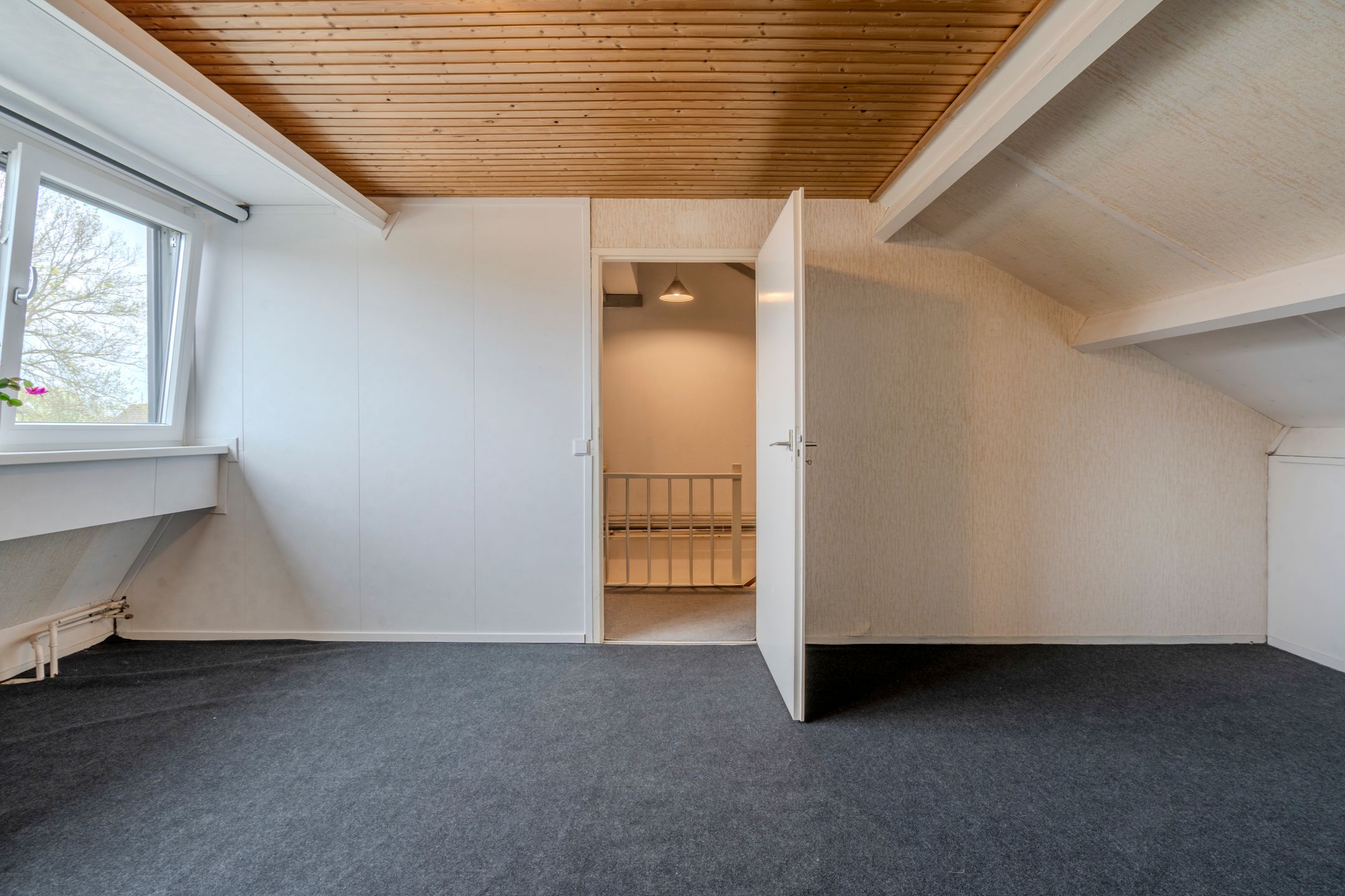 Foto 36 van Fluoriet 10