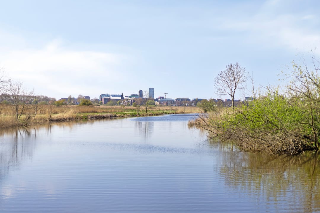 Photo 28 of Hertogin Johannastraat 104