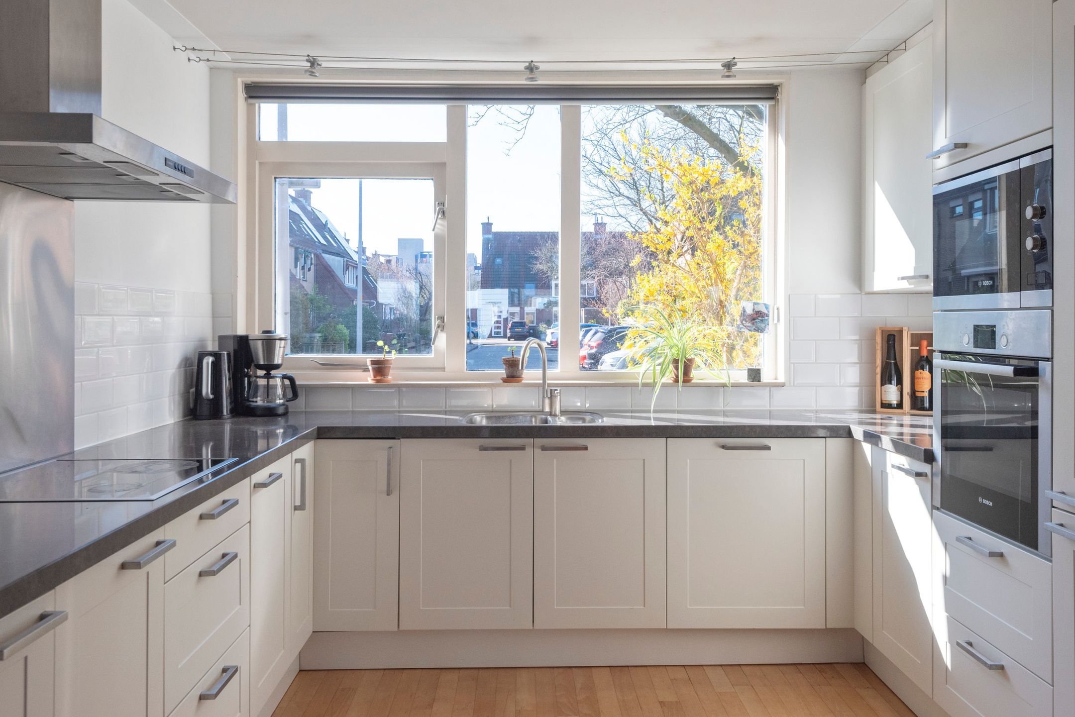 Foto 12 van Willemsbos 160