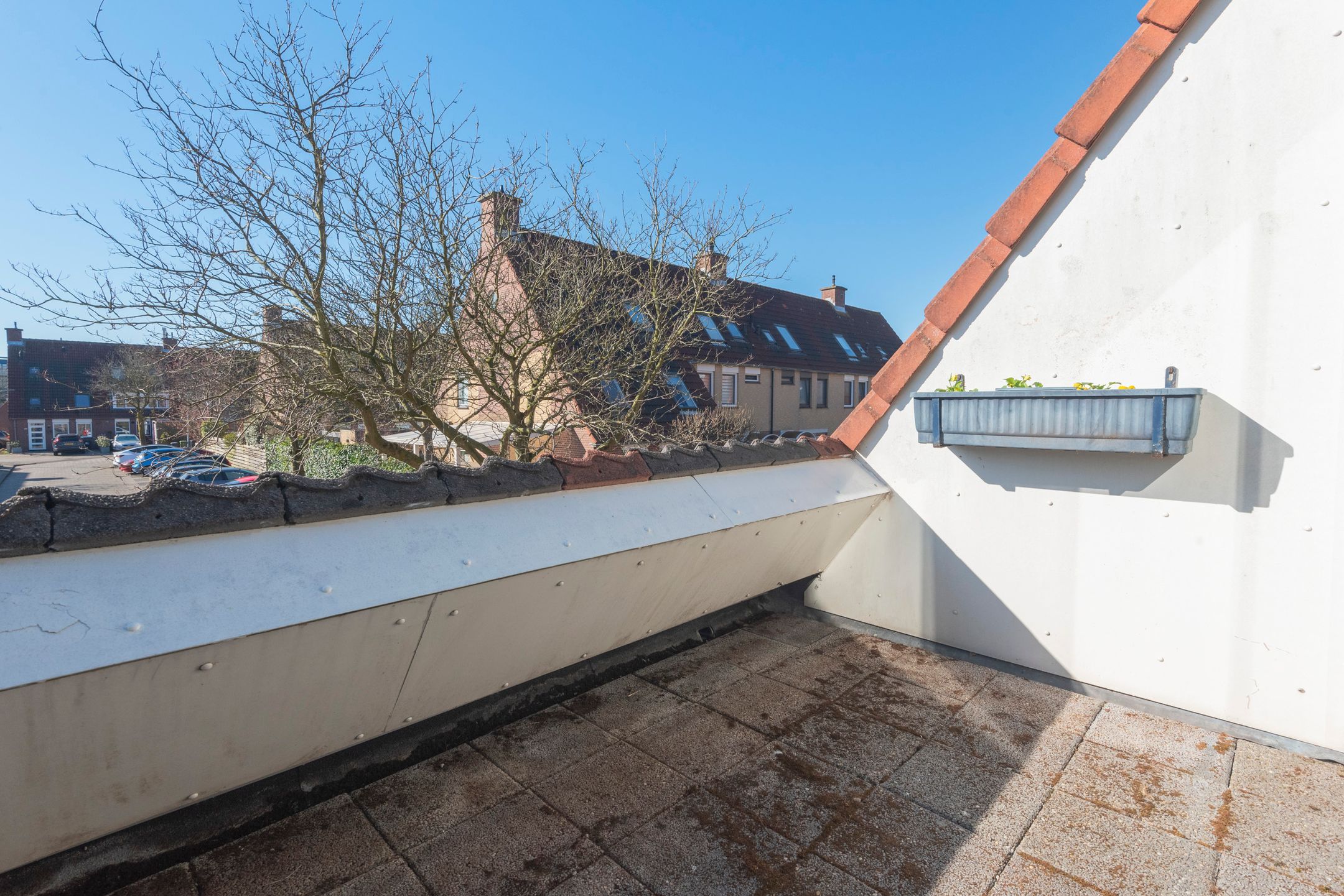 Foto 15 van Willemsbos 160