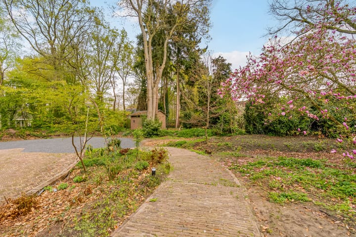 Foto 74 van Beukenlaan 3