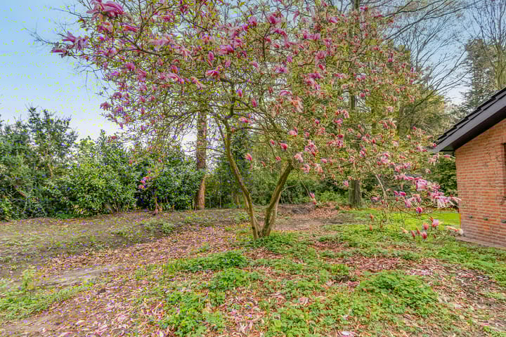 Foto 75 van Beukenlaan 3