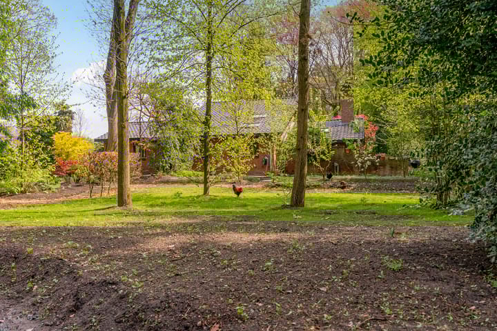 Foto 76 van Beukenlaan 3