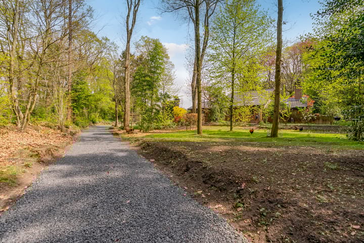 Foto 77 van Beukenlaan 3