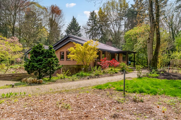 Foto 80 van Beukenlaan 3