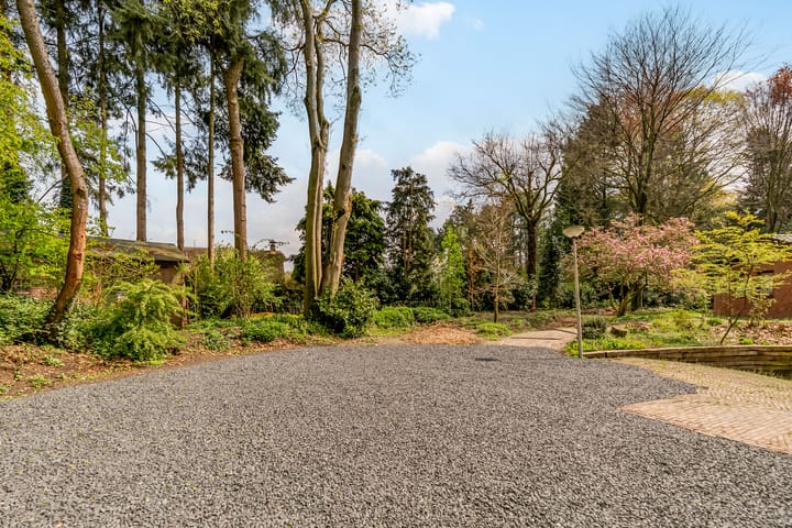 Foto 81 van Beukenlaan 3