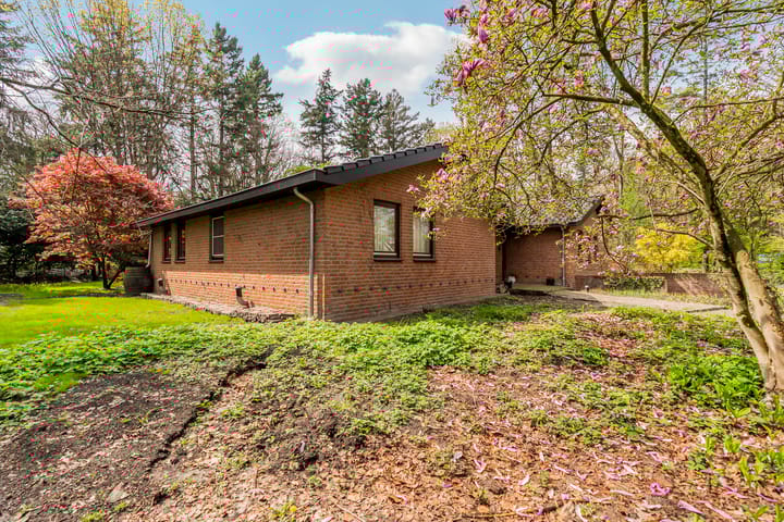 Foto 87 van Beukenlaan 3