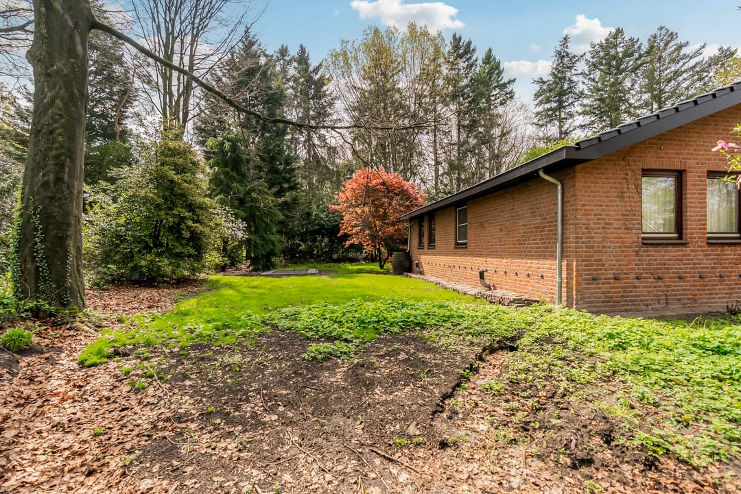 Foto 88 van Beukenlaan 3
