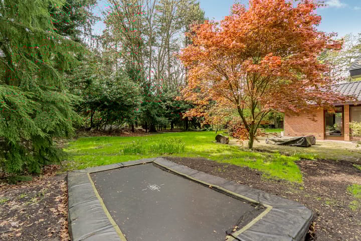 Foto 89 van Beukenlaan 3