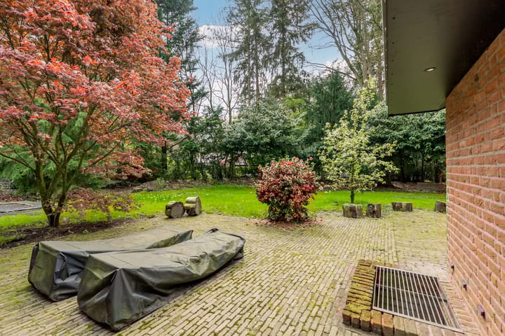 Foto 95 van Beukenlaan 3