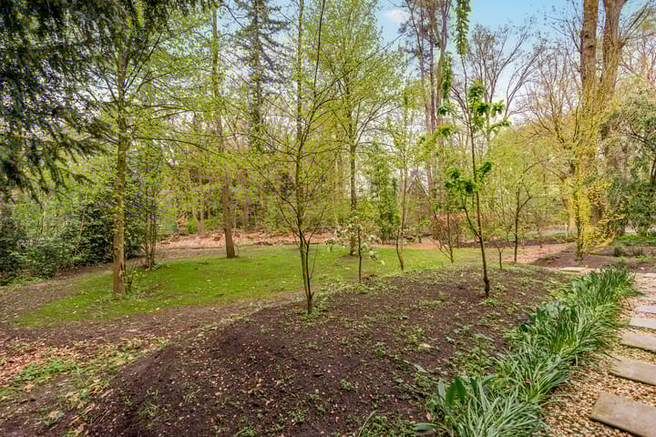 Foto 111 van Beukenlaan 3