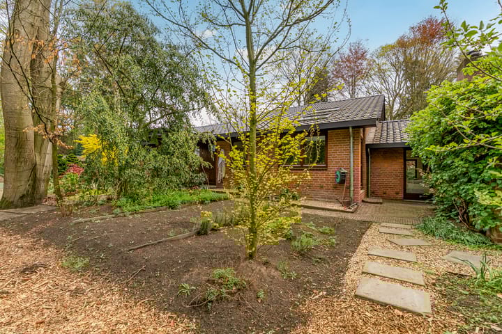 Foto 113 van Beukenlaan 3