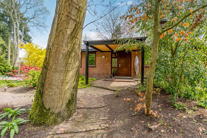 Foto 114 van Beukenlaan 3