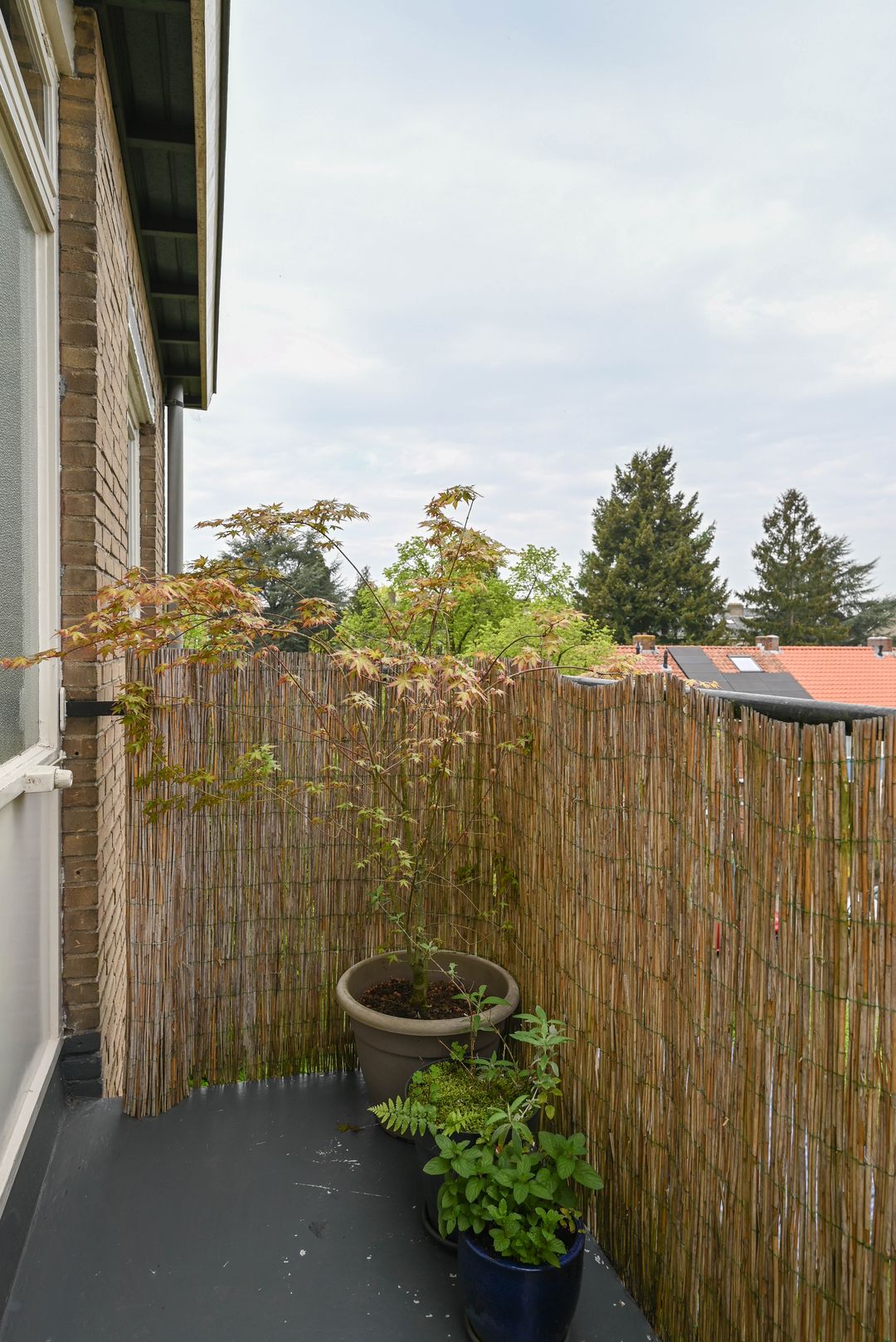 Foto 17 van Kolhornseweg 164