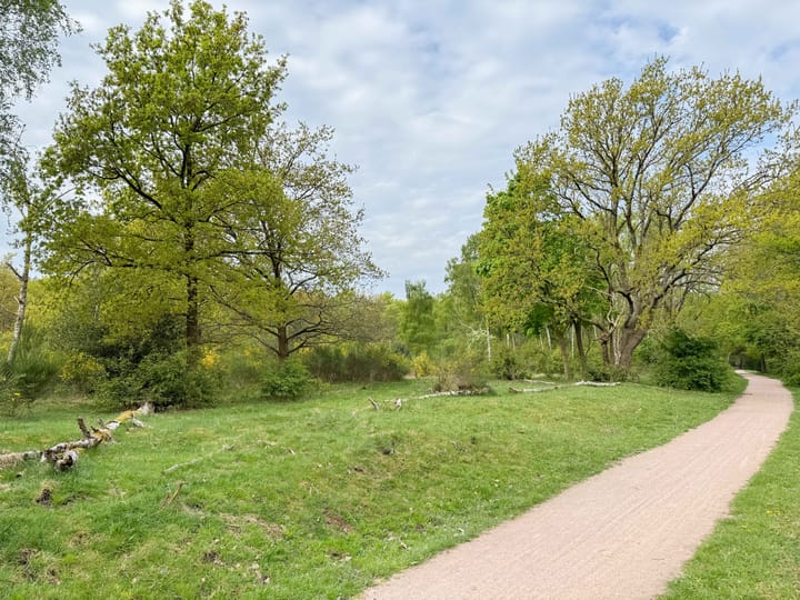 Foto 21 van Kolhornseweg 164