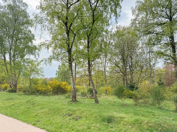 Foto 22 van Kolhornseweg 164