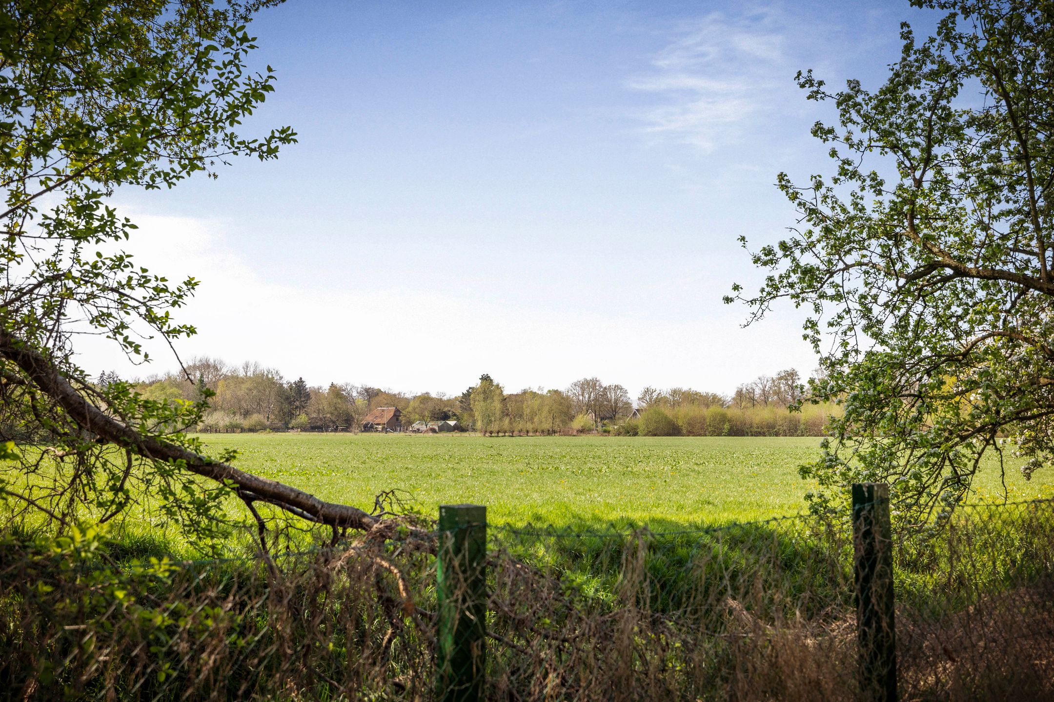Foto 42 van Rijksstraatweg 29