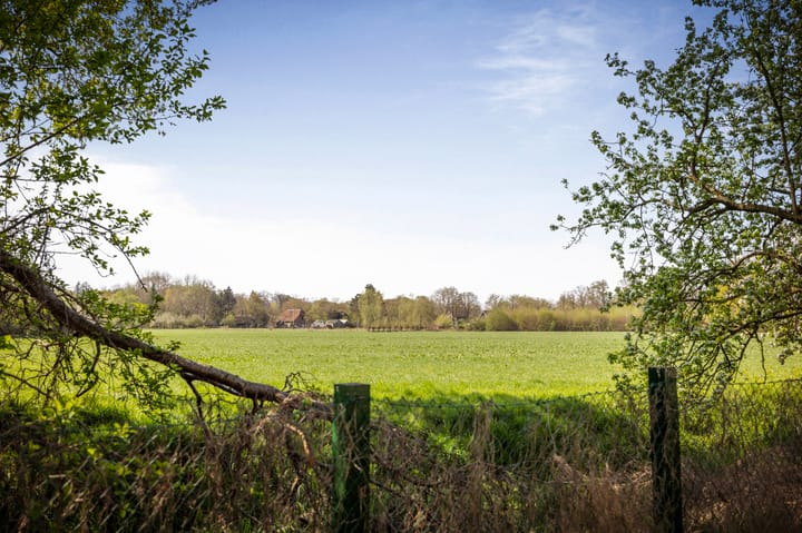 Foto 42 van Rijksstraatweg 29