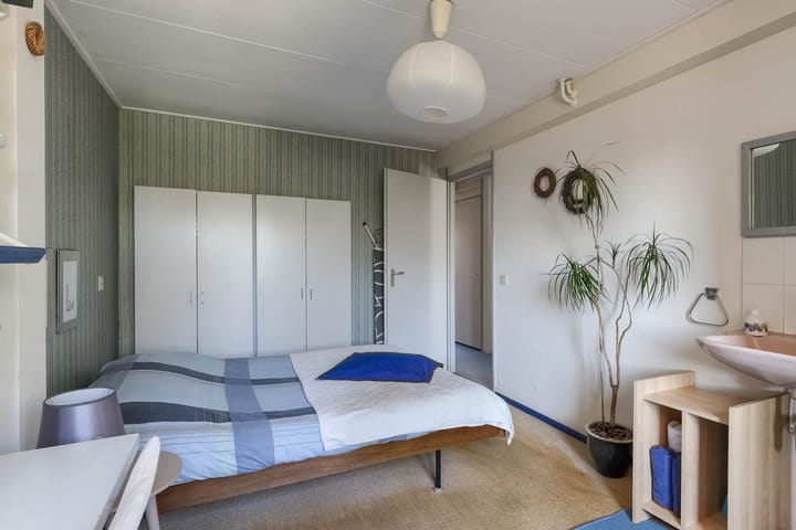 Photo 27 of Pieter Wariuslaan 137