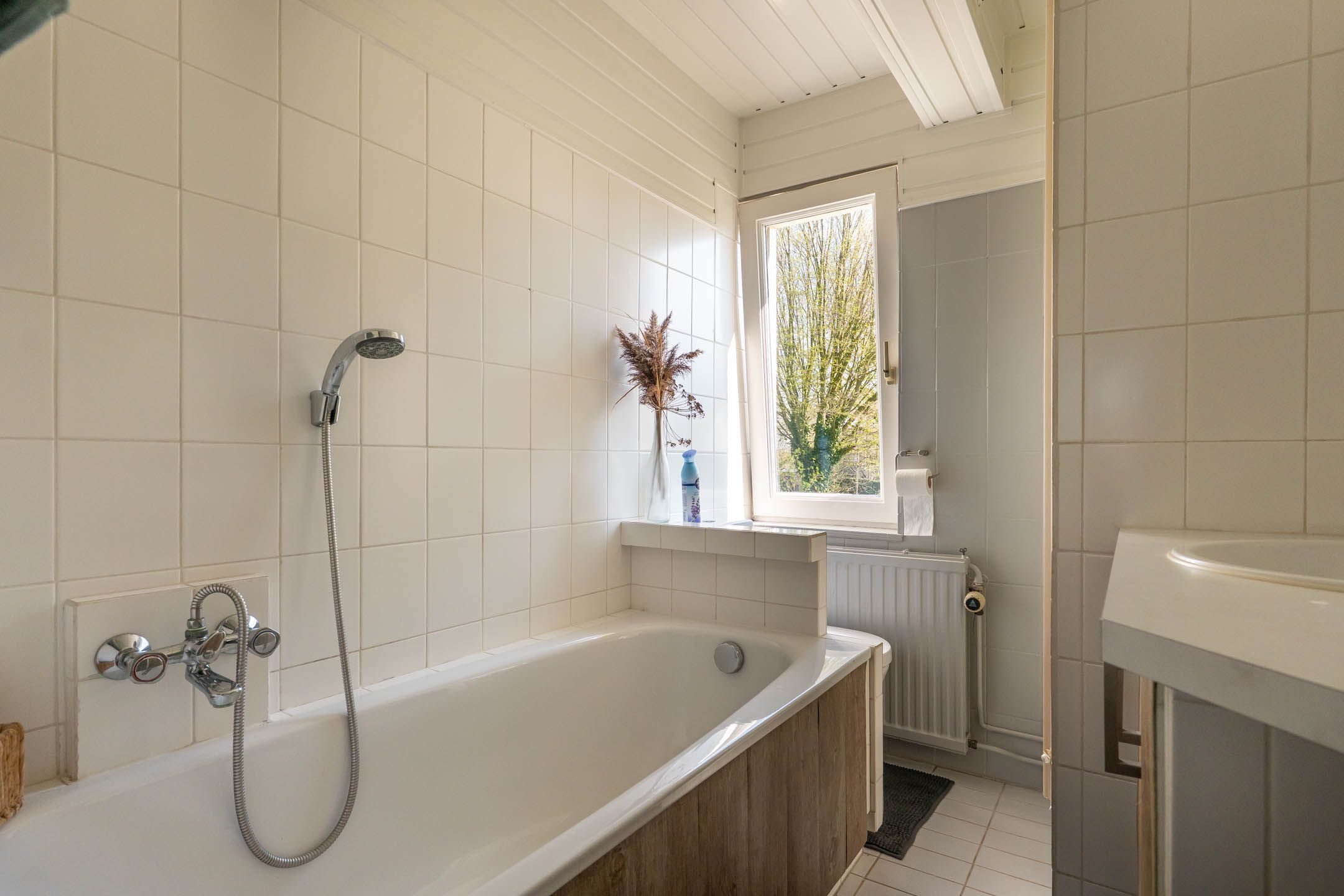 Photo 33 of Pieter Wariuslaan 137