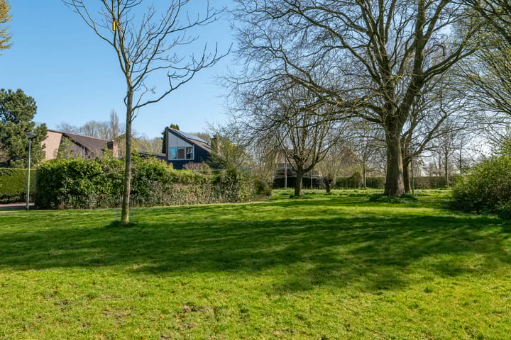 Photo 56 of Pieter Wariuslaan 137