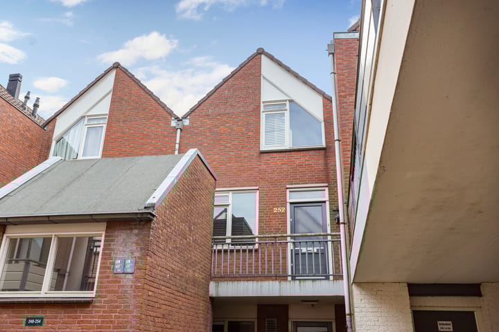 Foto 2 van Antilopespoor 252