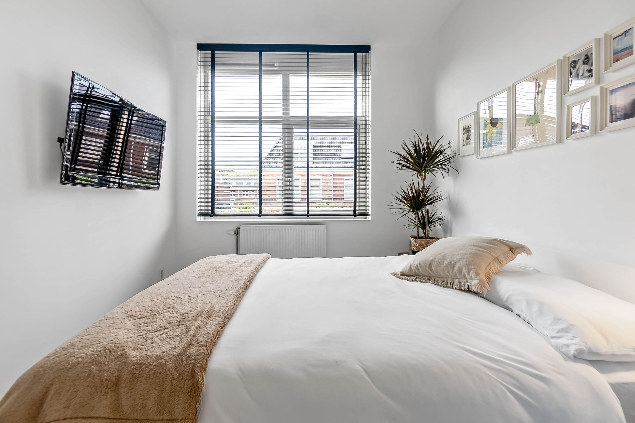 Foto 48 van Thomas Mannsingel 23